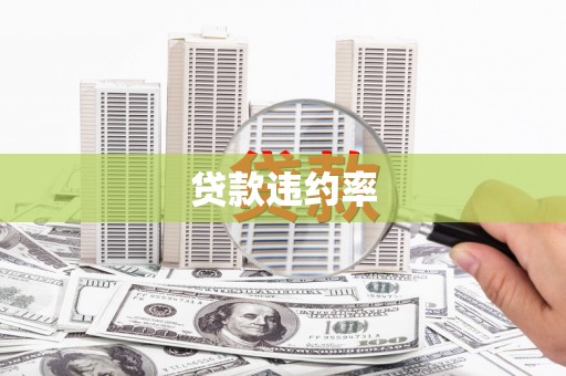 宣城贷款违约率