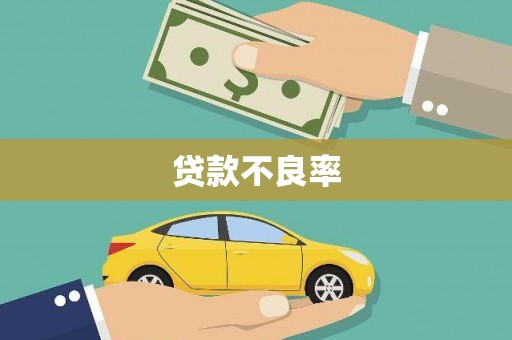 宣城贷款不良率