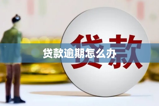 宣城贷款逾期怎么办
