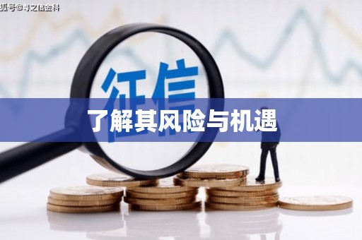 宣城了解其风险与机遇