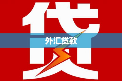 宣城外汇贷款
