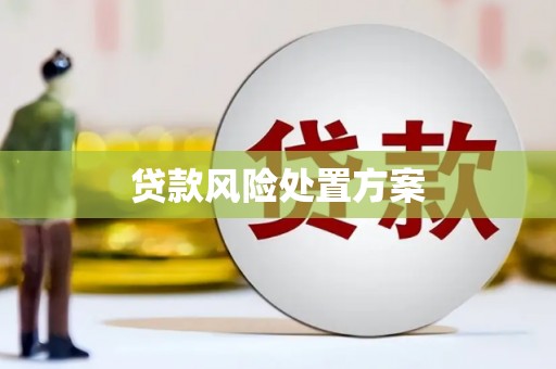 宣城贷款风险处置方案