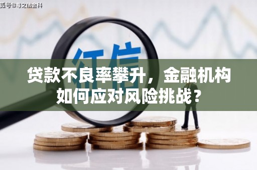 宣城贷款不良率攀升，金融机构如何应对风险挑战？