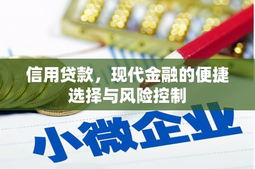 宣城信用贷款，现代金融的便捷选择与风险控制