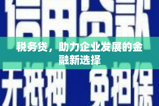 宣城税务贷，助力企业发展的金融新选择