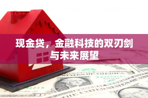 宣城现金贷，金融科技的双刃剑与未来展望