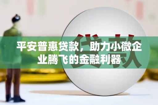 宣城平安普惠贷款，助力小微企业腾飞的金融利器