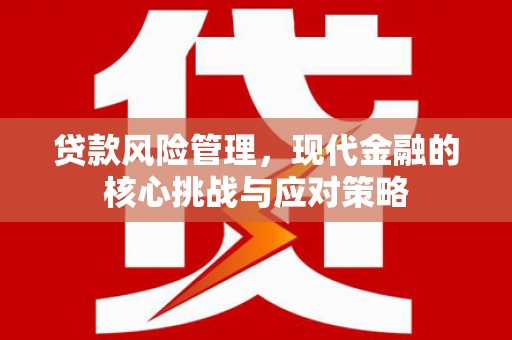 宣城贷款风险管理，现代金融的核心挑战与应对策略