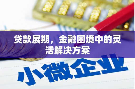 宣城贷款展期，金融困境中的灵活解决方案