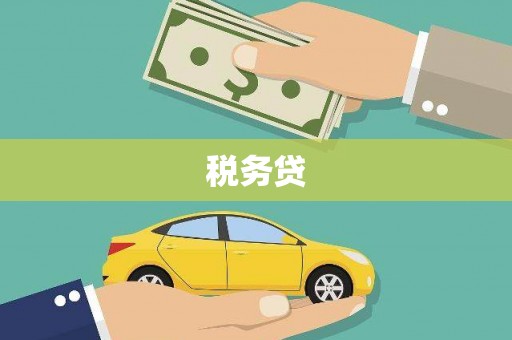 宣城税务贷