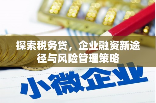 宣城探索税务贷，企业融资新途径与风险管理策略