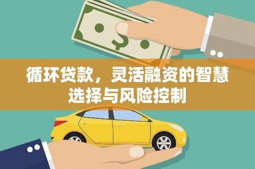 宣城循环贷款，灵活融资的智慧选择与风险控制