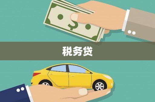 宣城税务贷
