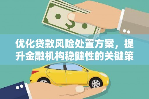 宣城优化贷款风险处置方案，提升金融机构稳健性的关键策略