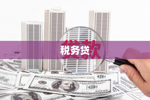 宣城税务贷