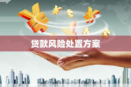 宣城贷款风险处置方案