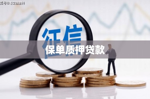 宣城保单质押贷款