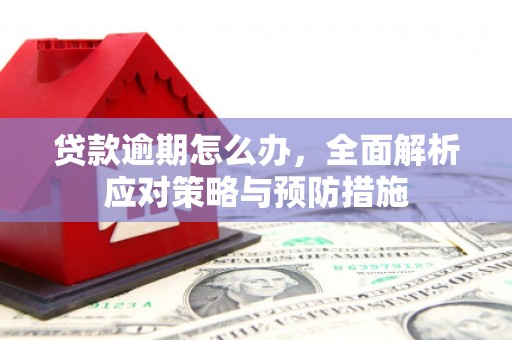 宣城贷款逾期怎么办，全面解析应对策略与预防措施