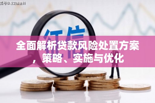 宣城全面解析贷款风险处置方案，策略、实施与优化