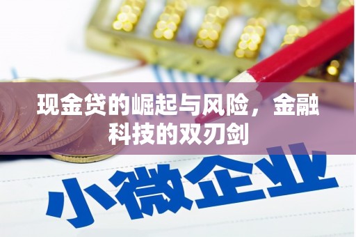 宣城现金贷的崛起与风险，金融科技的双刃剑
