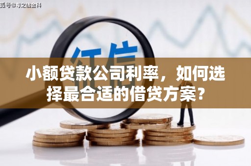 宣城小额贷款公司利率，如何选择最合适的借贷方案？