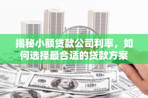 宣城揭秘小额贷款公司利率，如何选择最合适的贷款方案