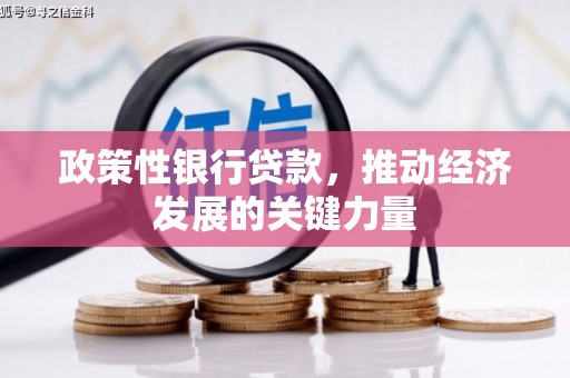 宣城政策性银行贷款，推动经济发展的关键力量