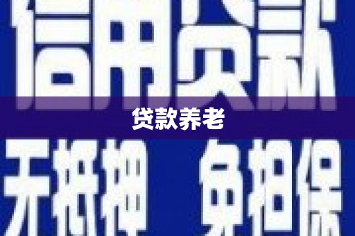 宣城贷款养老