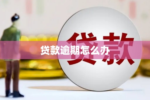 宣城贷款逾期怎么办