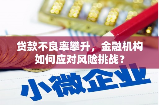 宣城贷款不良率攀升，金融机构如何应对风险挑战？