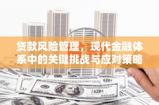 宣城贷款风险管理，现代金融体系中的关键挑战与应对策略