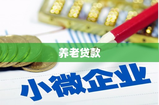 宣城养老贷款