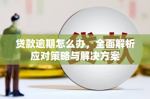 宣城贷款逾期怎么办，全面解析应对策略与解决方案