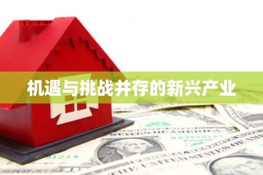 宣城机遇与挑战并存的新兴产业