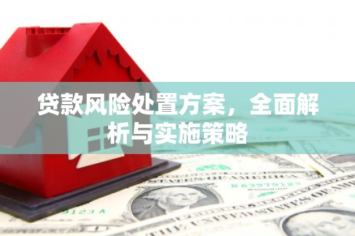 宣城贷款风险处置方案，全面解析与实施策略