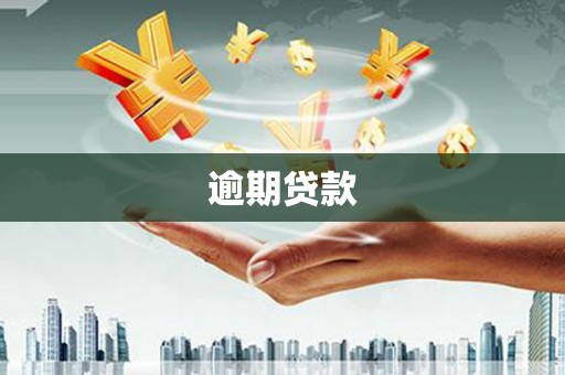 宣城逾期贷款