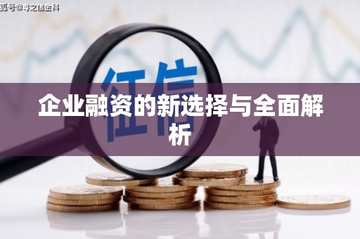 宣城企业融资的新选择与全面解析