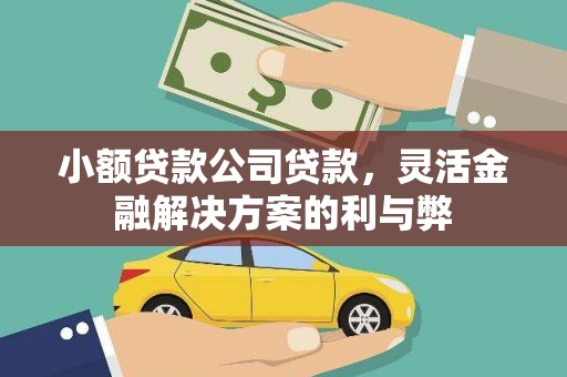 宣城小额贷款公司贷款，灵活金融解决方案的利与弊